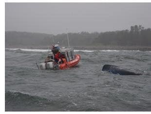 Coast Guard approaching a capsized boat